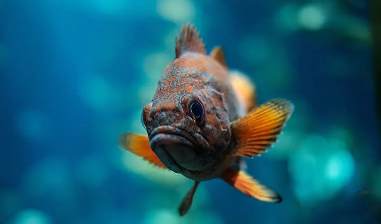 Why study abroad is important