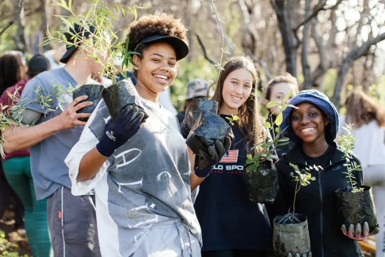 people holding plants