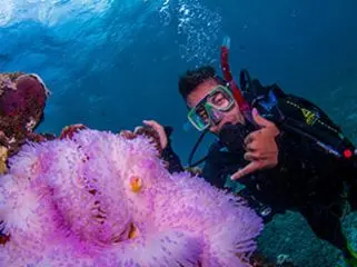 USAC student getting amazed with the beauty of the sea creatures underwater.