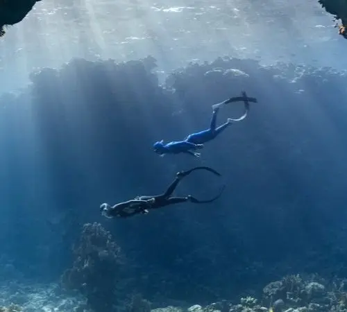 0 Diving Essentials: The Ultimate Packing List for Scuba Enthusiasts