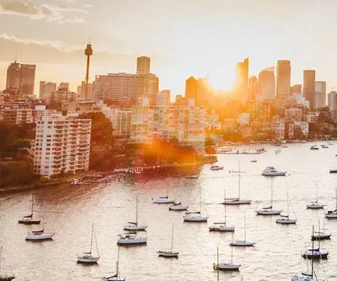 Harbor sunset picture