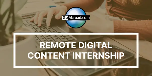 remote digital content internship image
