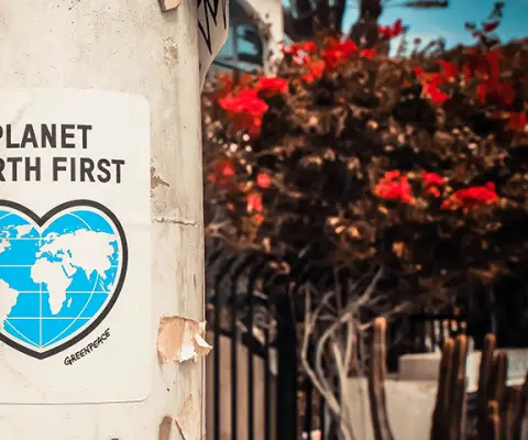 poster pasted on an electirc post