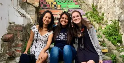 Budapest Semesters in Mathematics Education