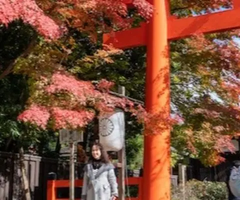 people wearing coats walking near shrine and trees with red leaves