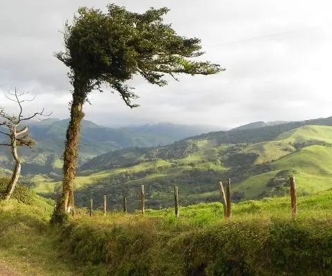 Landscape of Costa Rican mountains