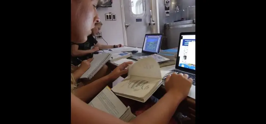 Seamester academics are accredited through the University of South Florida