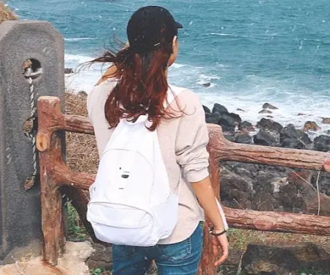 how to study abroad in south korea